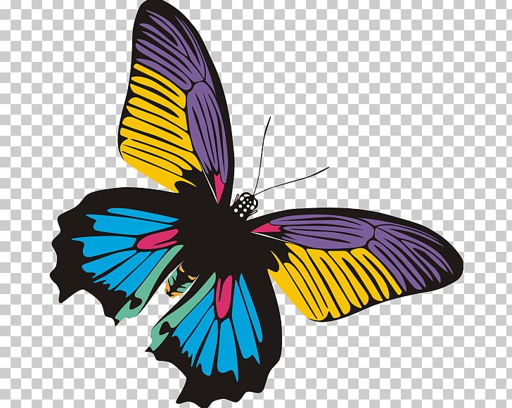 Butterfly Insect PNG, Clipart, Arthropod, Blog, Brush Footed Butterfly, Butterflies And Moths, Butterfly Free PNG Download