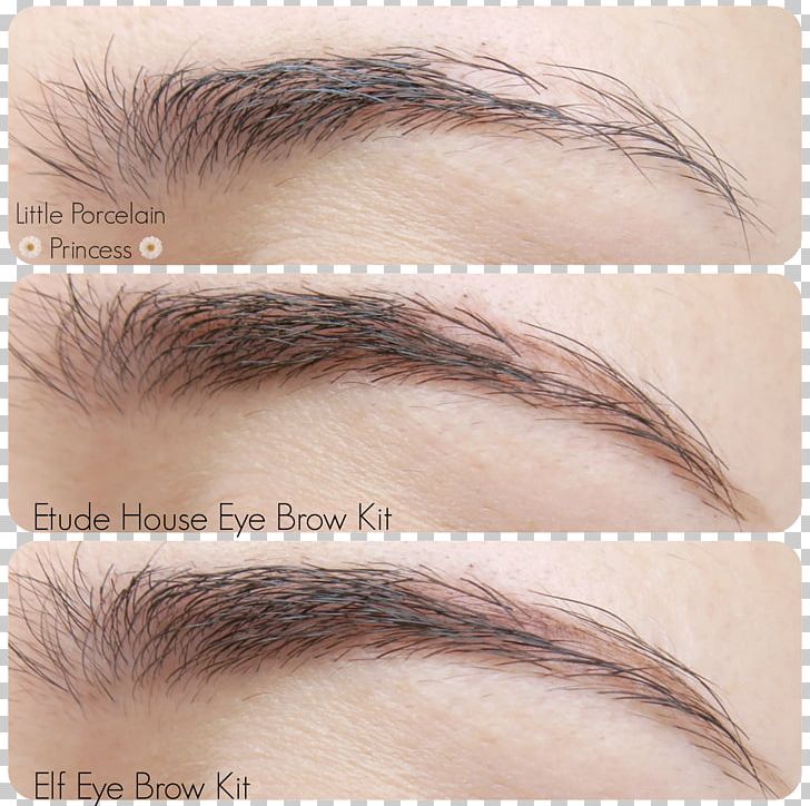 Eyebrow Cosmetics Eye Shadow Eyelash PNG, Clipart, Closeup, Cosmetics, Eye, Eye Brow, Eyebrow Free PNG Download