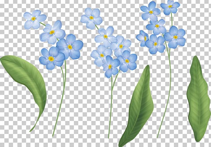 Flower Painting Portable Network Graphics Petal PNG, Clipart, 4 January, Advertising, Borage Family, Chai, Cicek Free PNG Download