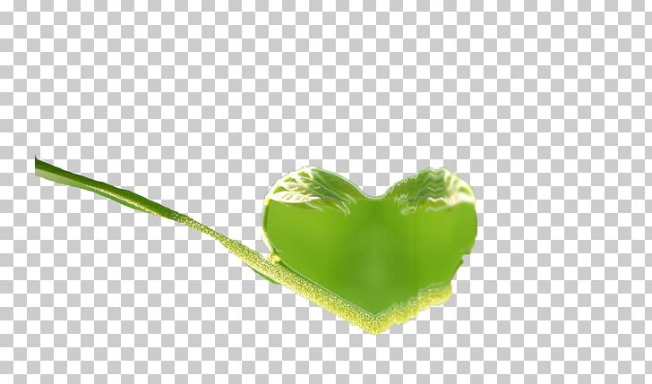 Heart Leaf Computer PNG, Clipart, Advertising, Baby, Books, Broken Heart, Care Free PNG Download