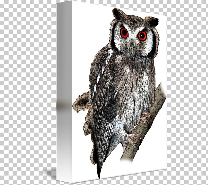 Owl Kind Art Poster PNG, Clipart, Art, Beak, Bird, Bird Of Prey, Canvas Free PNG Download