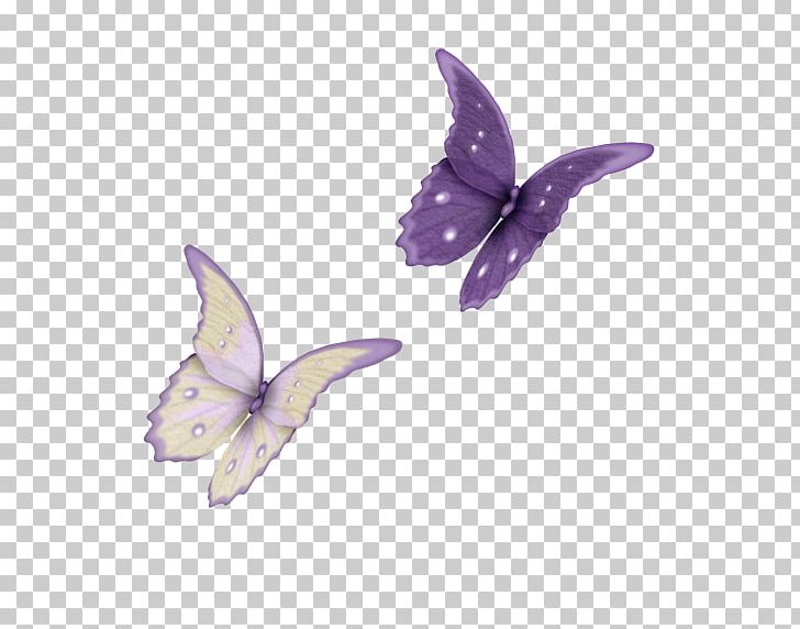 Butterfly PNG, Clipart, Animal, Blue Butterfly, Butterflies, Butterfly Group, Butterfly Wings Free PNG Download