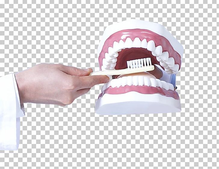 Tooth Dentistry Health Care PNG, Clipart, Celebrities, Dental, Dental Instruments, Dentures, Designer Free PNG Download