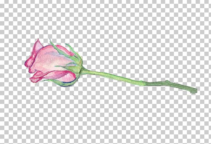 Watercolor Painting Flower Rose Illustration PNG, Clipart, Art, Canvas, Canvas Print, Creativity, Cutlery Free PNG Download