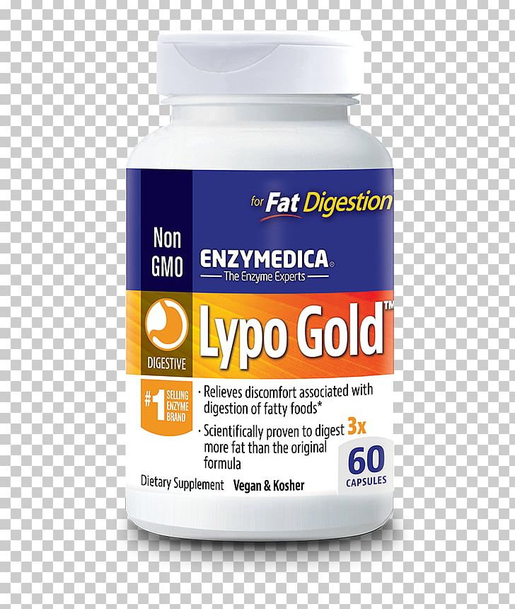 Dietary Supplement Digestion Lipase Digestive Enzyme PNG, Clipart, Amylase, Capsule, Dietary Supplement, Digestion, Digestive Enzyme Free PNG Download