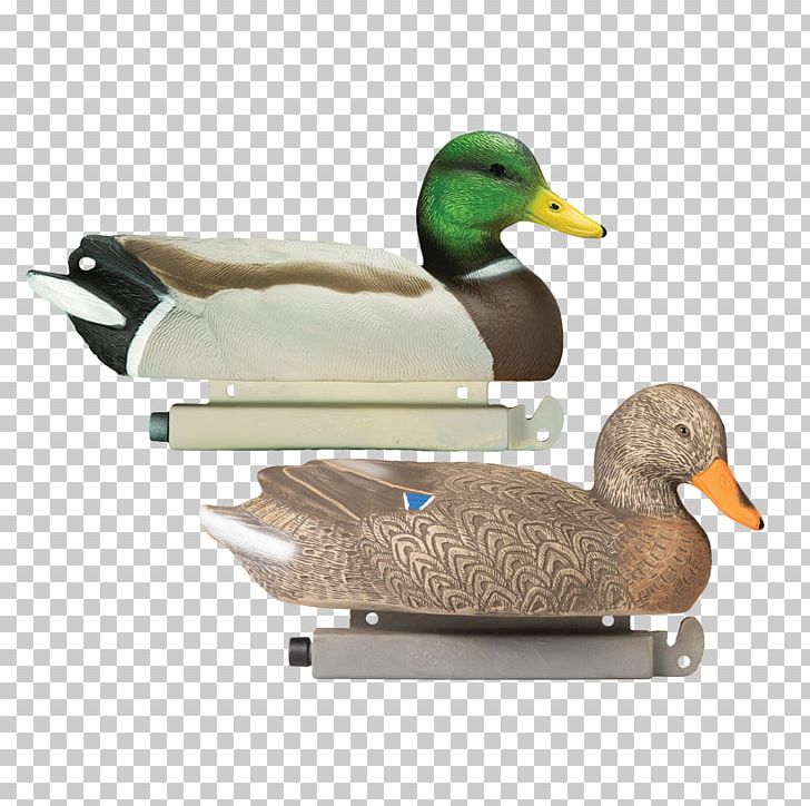 Mallard Duck Decoy Duck Decoy Anseriformes PNG, Clipart, Animals, Anseriformes, Beak, Bird, Decoy Free PNG Download