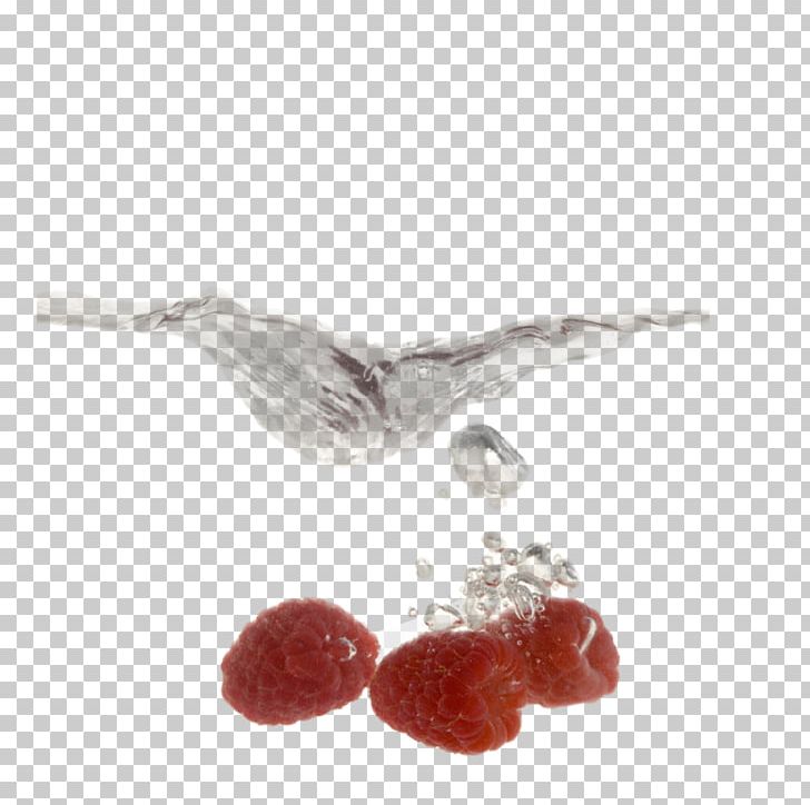 Raspberry Stock Photography Getty S PNG, Clipart, Beak, Berry, Body Jewelry, Date, Date Fruit Free PNG Download