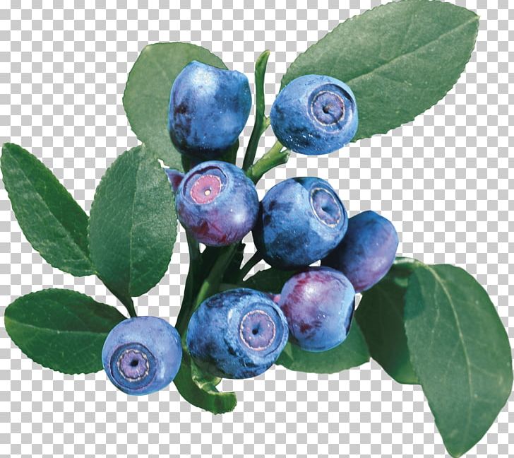 Varenye Bilberry European Blueberry Vaccinium Uliginosum PNG, Clipart, Antioxidant, Aristotelia Chilensis, Berry, Bilberry, Blueberry Free PNG Download