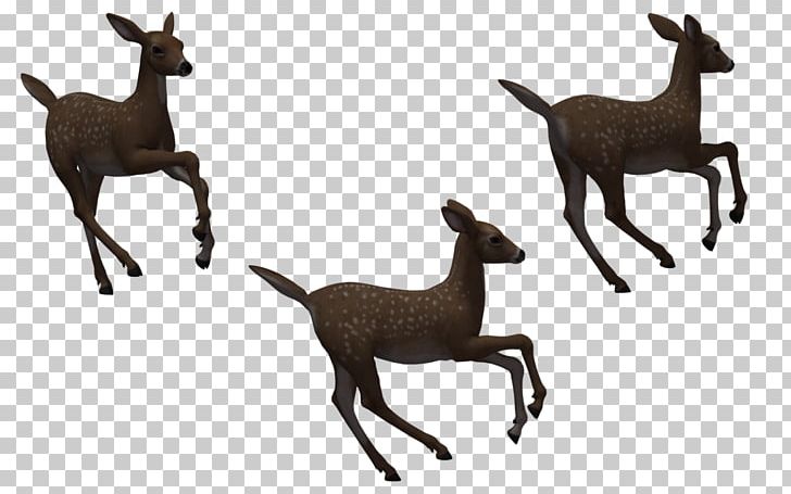 Deer Silhouette PNG, Clipart, Animal Figure, Animals, Antelope, Antler, Black And White Free PNG Download