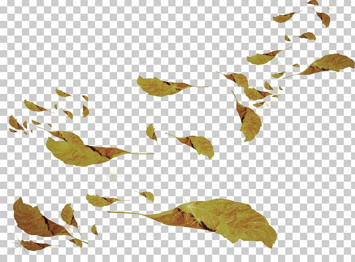 Leaf Branch Plant Stem PNG, Clipart, Autumn, Birth, Branch, Leaf, Nature Free PNG Download