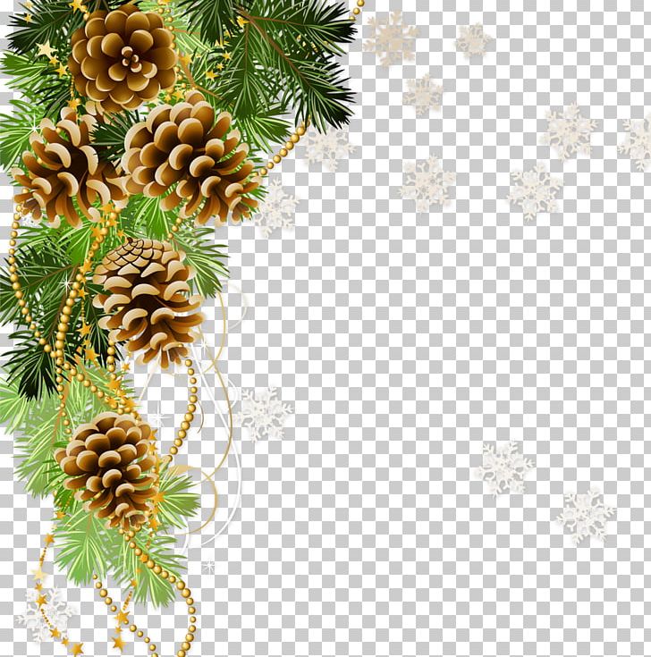 Photography PNG, Clipart, Branch, Christmas, Christmas Decoration, Christmas Tree, Conifer Free PNG Download