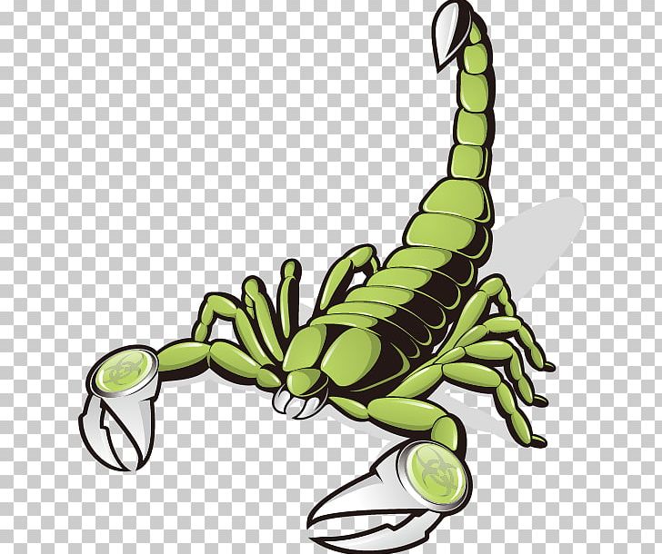 Scorpion Euclidean PNG, Clipart, Ball, Cartoon, Cartoon Arms, Cartoon Character, Cartoon Eyes Free PNG Download