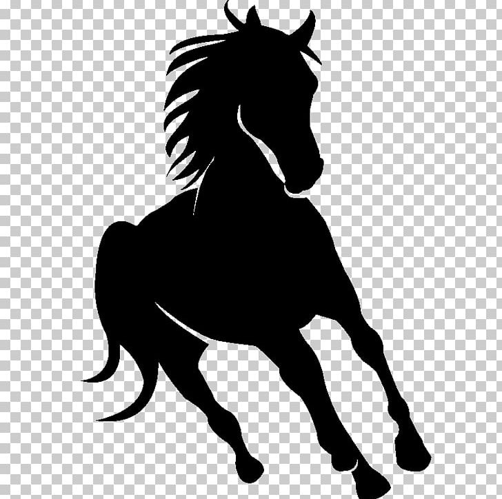 arabian horse head silhouette clip art