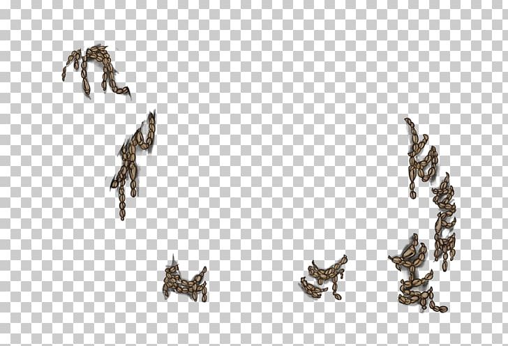 Carnivora Fauna Font PNG, Clipart, Animal Figure, Carnivora, Carnivoran, Drongo, Fauna Free PNG Download