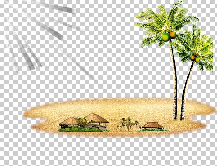 Hainan Village PNG, Clipart, Arecaceae, Beach, Coconut, Coconut Tree, Decorative Patterns Free PNG Download