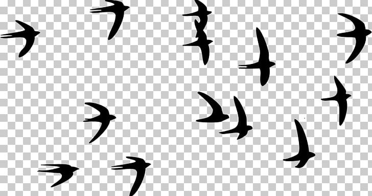 Swallow Bird Paper Tattoo Flock PNG, Clipart, Animal Migration, Animals, Barn Swallow, Beak, Bird Free PNG Download