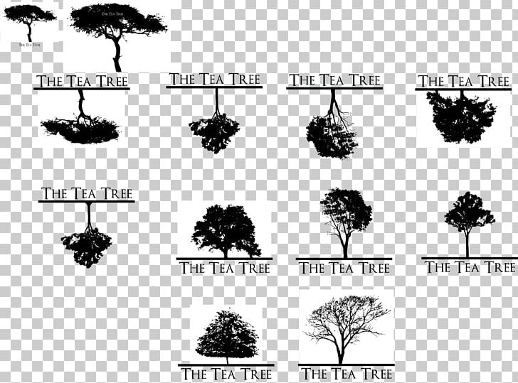 Tree Nature Silhouette Arecaceae Font PNG, Clipart, Arecaceae, Black And White, Nature, Plant, Silhouette Free PNG Download