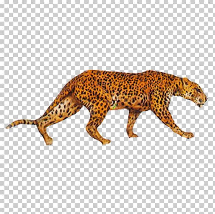 Cheetah Eurasian Lynx Indian Leopard PNG, Clipart, Animal, Animals, Art, Big Cats, Carnivoran Free PNG Download