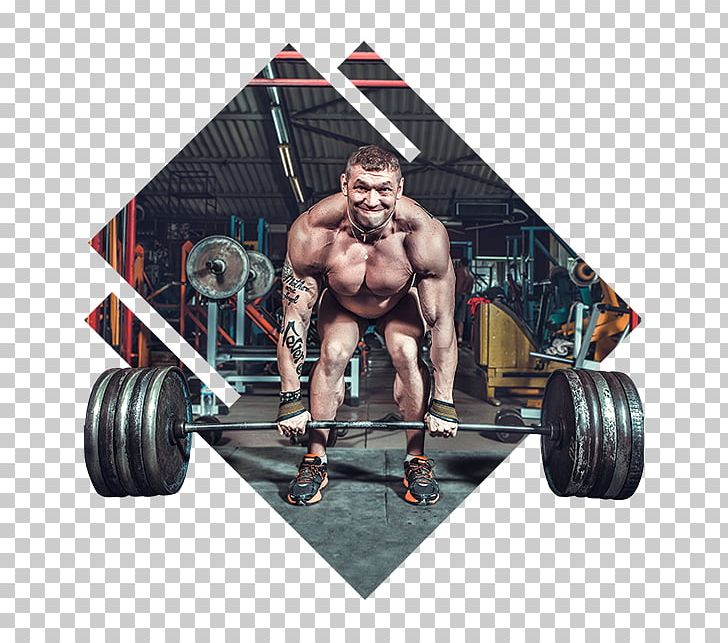 Exercise Weight Training Fitness Centre Muscle Dumbbell PNG, Clipart, Barbell, Bench, Biceps Curl, Bodybuilder, Bodybuilding Free PNG Download