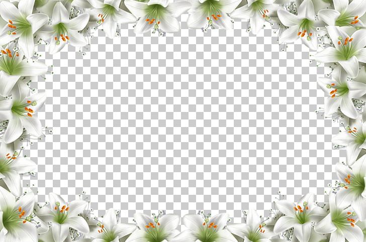 Frame Animation Collage PNG, Clipart, Animation, Ansichtkaart, Art, Background, Clip Art Free PNG Download