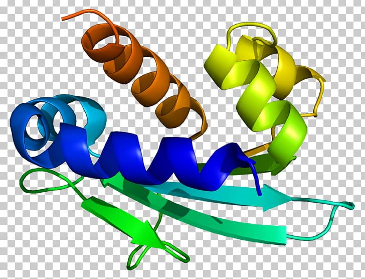 HSD17B4 Interleukin-7 Receptor Peroxisome 17β-Hydroxysteroid Dehydrogenase Protein PNG, Clipart, Acyl Coa Dehydrogenase, Artwork, B 4, Beta Oxidation, Cell Free PNG Download