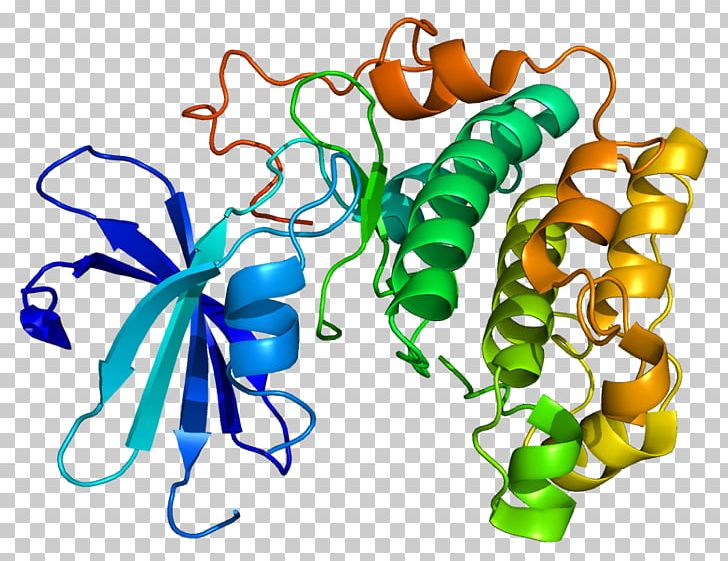 Protein Kinase B AKT2 Serine/threonine-specific Protein Kinase AKT3 PNG, Clipart, Akt, Akt1, Akt2, Akt3, Animal Figure Free PNG Download