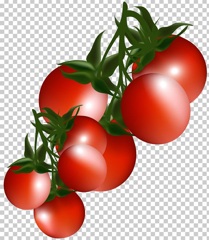 Vegetable PNG, Clipart, Bush Tomato, Cherry, Cherry Tomato, Clip Art, Diet Food Free PNG Download