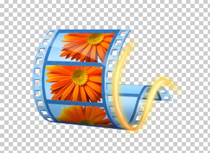 Windows Movie Maker Video Editing Software Computer Software Windows Essentials PNG, Clipart, Computer, Daisy Family, Editing, Film Editing, Flower Free PNG Download