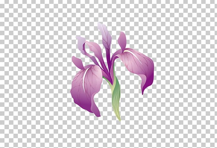 Moth Orchids Flower PNG, Clipart, Bahar, Cicek, Cicekler, Cicek Resimleri, Cut Flowers Free PNG Download