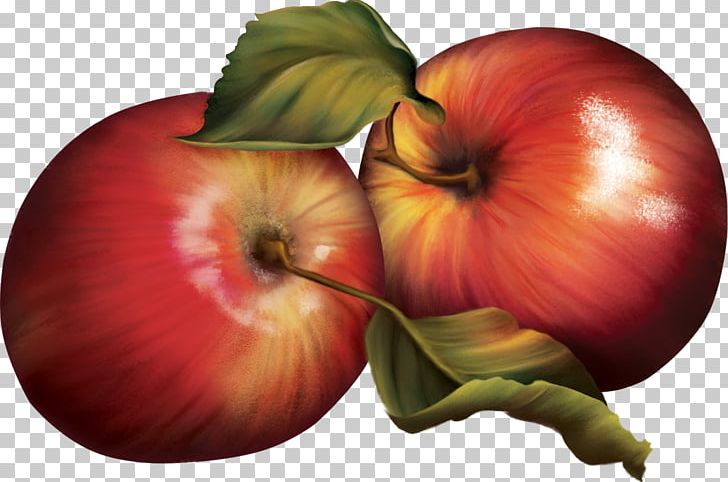 Apple Fruits Et Légumes Vegetable Food PNG, Clipart, Apple, Blog, Food, Fruit, Fruit Nut Free PNG Download