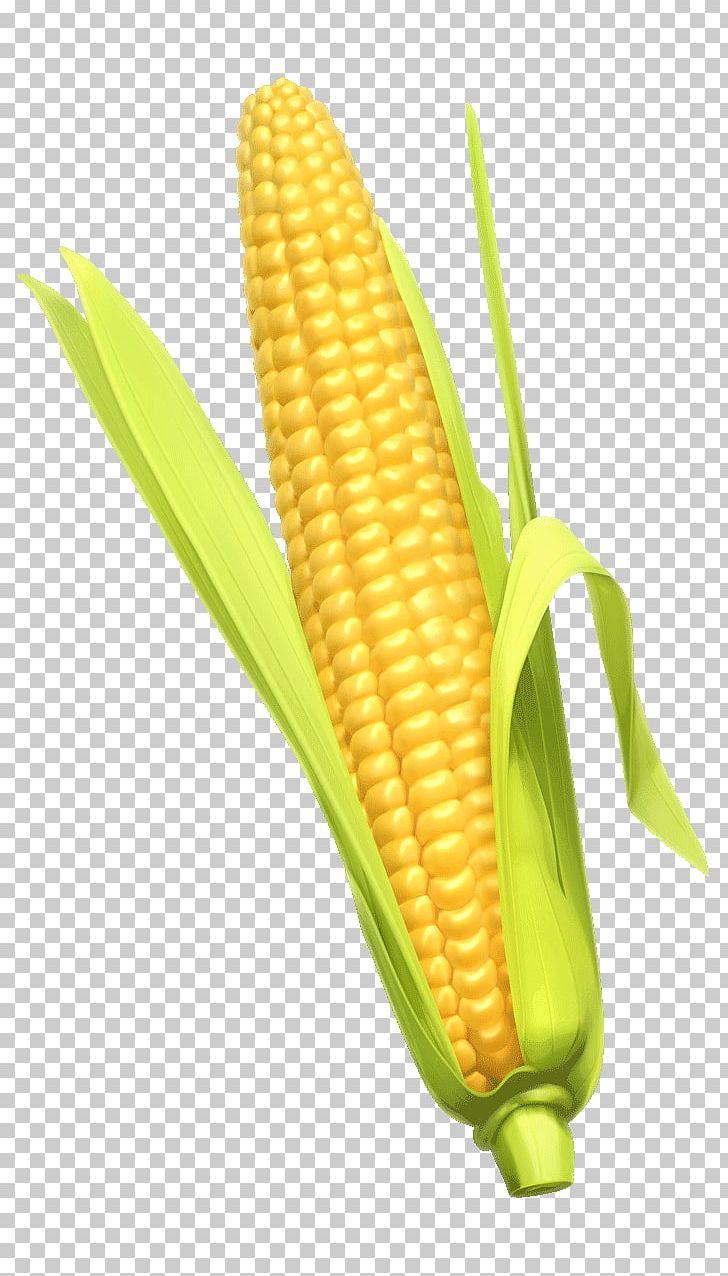 Corn On The Cob Corn Whiskey Cornbread Maize PNG, Clipart, Commodity, Cornbread, Corn Kernel, Corn Kernels, Corn On The Cob Free PNG Download