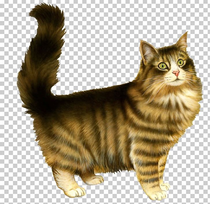 Kitten Russian Blue Persian Cat PNG, Clipart, Animals, Carnivoran, Cat Like Mammal, Cuteness, Dragon Li Free PNG Download