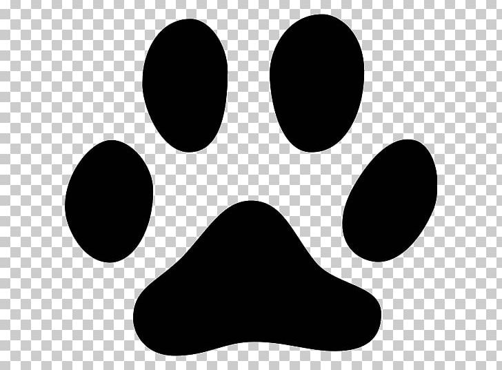 Cat Kitten Paw Footprint Animal Track PNG, Clipart, Animal, Animals, Animal Track, Black, Black And White Free PNG Download