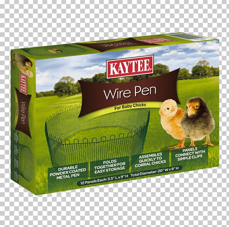 Chicken Coop Chicken Wire Poultry Pen PNG, Clipart, Animals, Barn, Cage, Chicken, Chicken Coop Free PNG Download