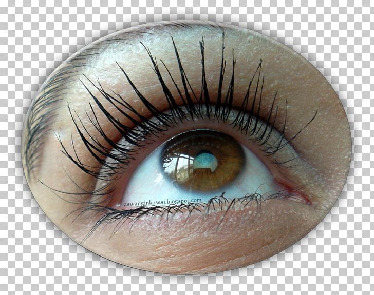 Eyelash Extensions Mascara Eye Shadow Maybelline PNG, Clipart, Artificial Hair Integrations, Aswang, Closeup, Cosmetics, Eye Free PNG Download