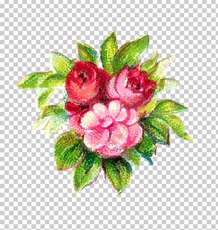 Flower Rose PNG, Clipart, Blue, Cut Flowers, Digital Image, Floral Design, Flower Free PNG Download