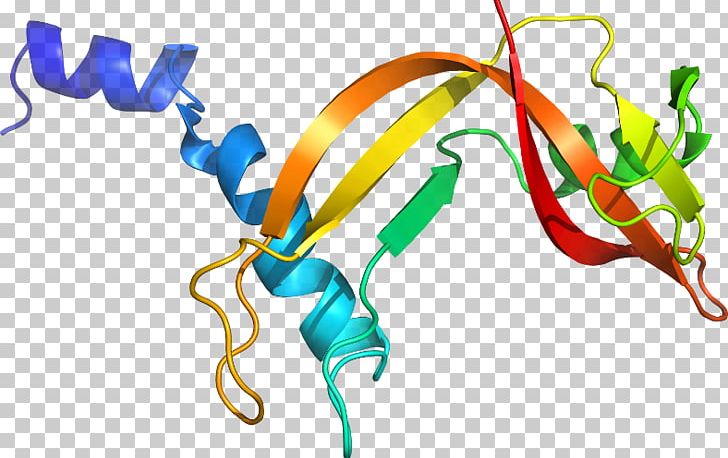 Organism Line PNG, Clipart, Art, Graphic Design, Line, Organism Free PNG Download