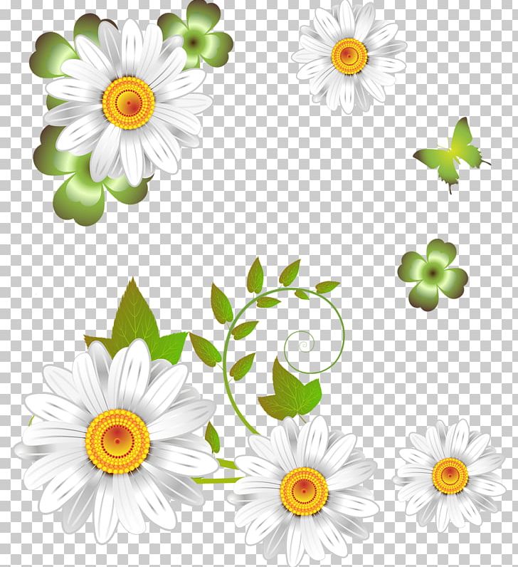 Oxeye Daisy German Chamomile Flower PNG, Clipart, Annual Plant, Anthemis, Chamaemelum, Chamomile, Dahlia Free PNG Download