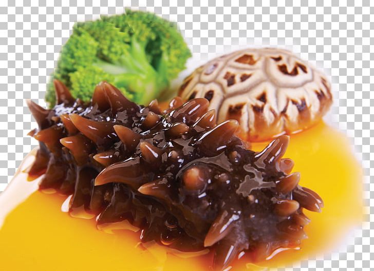 Sea Cucumber Food Eating PNG, Clipart, Asian Food, Cucumber, Cucumber Slices, Cuisine, Dish Free PNG Download