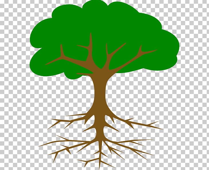 Tree Root PNG, Clipart, Artwork, Branch, Christmas Tree, Drawing, Flower Free PNG Download