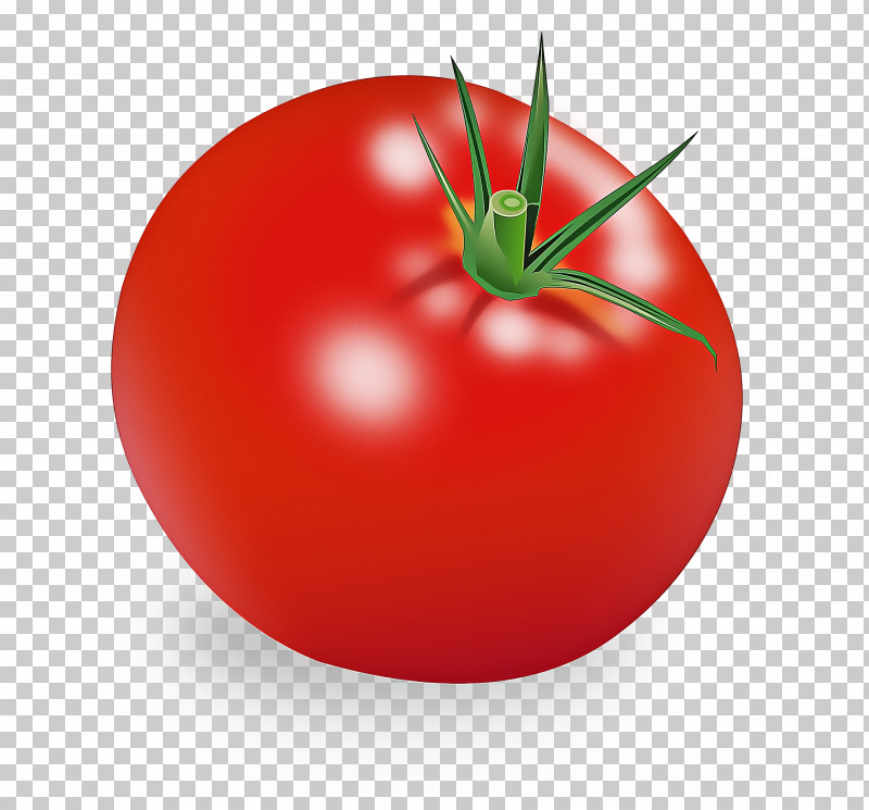 Tomato PNG, Clipart, Bush Tomato, Cherry Tomatoes, Food, Fruit, Italian Cuisine Free PNG Download