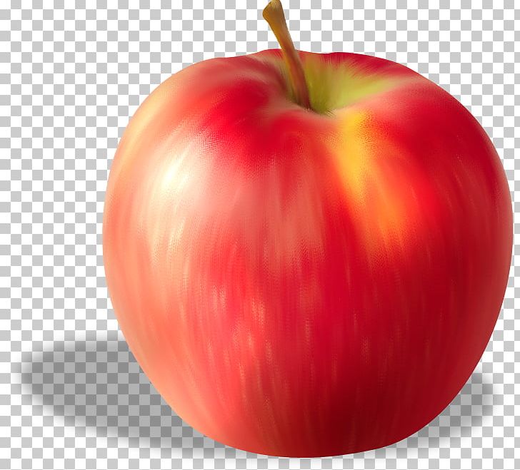Apple Fruit PNG, Clipart, Accessory Fruit, Apple, Apple Fruit, Apple Logo, Apple Tree Free PNG Download