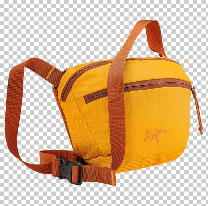 Arc'teryx Bum Bags Shoulder Archaeopteryx PNG, Clipart,  Free PNG Download