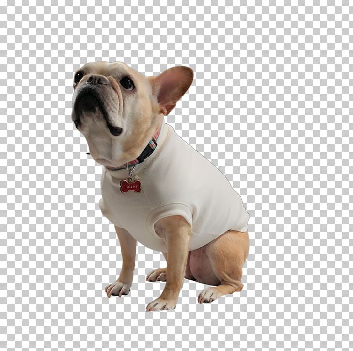 French Bulldog Toy Bulldog T-shirt Dog Breed PNG, Clipart, Bulldog, Carnivoran, Clothing, Collar, Companion Dog Free PNG Download