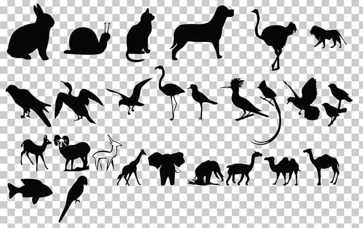 Black And White Animal Poster PNG, Clipart, 3d Animation, Animal, Animals, Anime Character, Anime Girl Free PNG Download