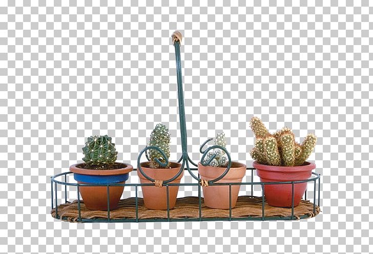 Cactaceae Flowerpot Bonsai PNG, Clipart, All Access, All Ages, All Around The World, Alphabet Inc, Cactus Free PNG Download