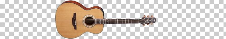 Door Handle Acoustic Guitar Acoustic-electric Guitar Takamine Guitars PNG, Clipart, Acoustic Electric Guitar, Acousticelectric Guitar, Acoustic Guitar, Acoustic Music, Body Jewellery Free PNG Download