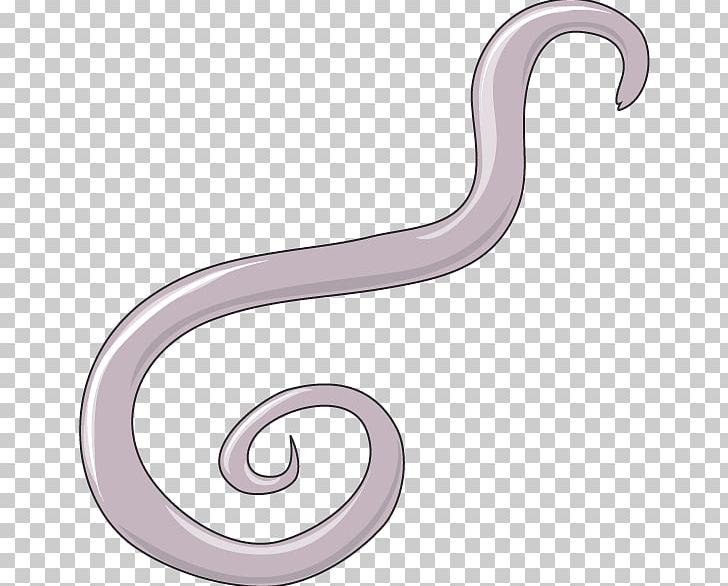 Giant Roundworm Ascaris Suum Ascariasis PNG, Clipart, Ancylostoma Duodenale, Ascariasis, Ascaris Suum, Body Jewelry, Cooky Free PNG Download