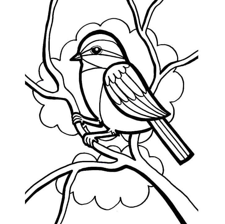Bird Parrot Owl Coloring Book Penguin PNG, Clipart, Adult, Animals, Art, Artwork, Beak Free PNG Download