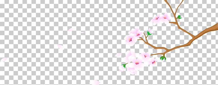 Petal Flower Floral Design PNG, Clipart, Blossom, Branch, Closeup, Closeup, Computer Free PNG Download